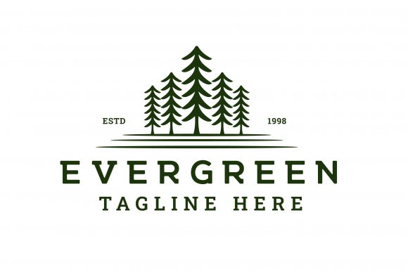 Pine, Spruce Tree Vintage Hipster Logo: A Modern Take on Rustic Charm